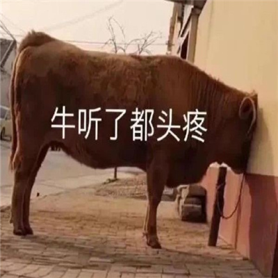 抖音很火高清无水印的搞怪表情 一看就笑喷的表情包