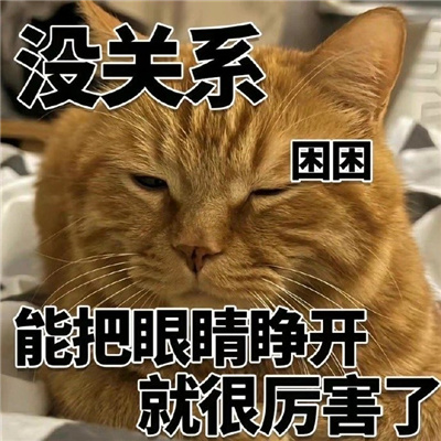 猫猫表情最近很火很好笑 没关系又活一天已经很厉害了