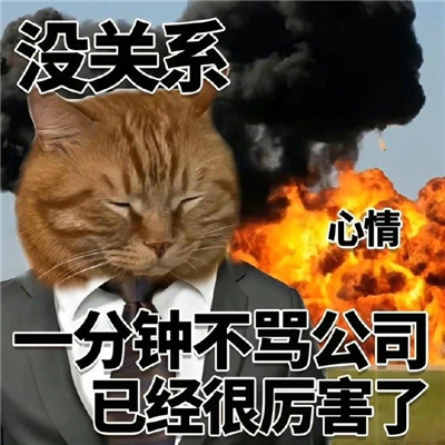 猫猫表情最近很火很好笑 没关系又活一天已经很厉害了