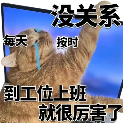 猫猫表情最近很火很好笑 没关系又活一天已经很厉害了