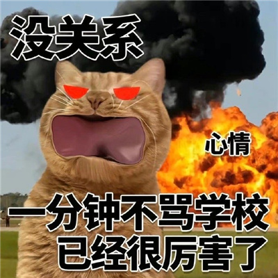 猫猫表情最近很火很好笑 没关系又活一天已经很厉害了