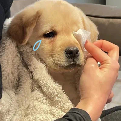 最新版好用的无字表情 什么都没说又好像什么都说了