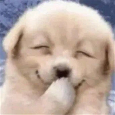 最新版好用的无字表情 什么都没说又好像什么都说了