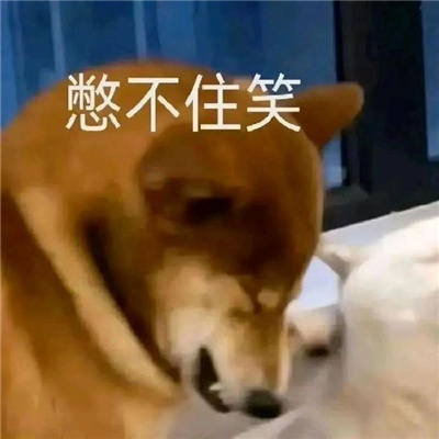 超级可爱的表情最新版合集 很有用的火爆表情