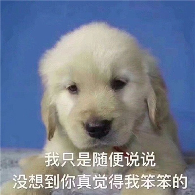 超级可爱的表情最新版合集 很有用的火爆表情