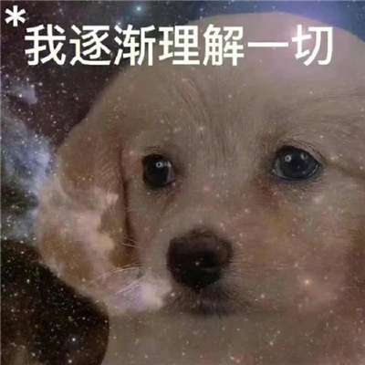 超级可爱的表情最新版合集 很有用的火爆表情