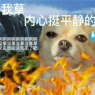 网上冲浪必备的好玩表情 很实用的好笑表情合集