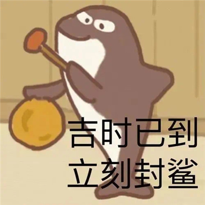 2023有趣好玩的微信表情爆笑幽默 下面我简答的喵几句