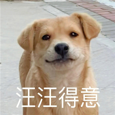 开心快乐每一天的带字表情 很快乐的表情最新合集