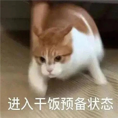 开心快乐每一天的带字表情 很快乐的表情最新合集