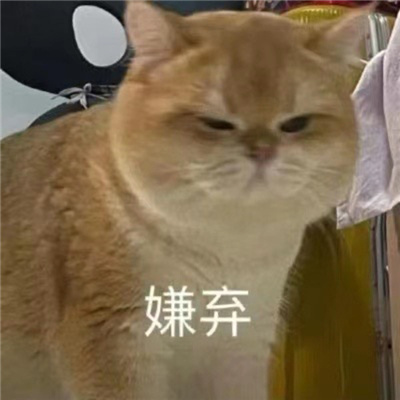 使用频率超高的表情最新 你怎么比狗还狗