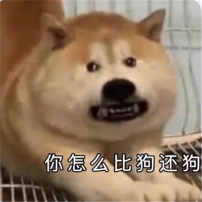 使用频率超高的表情最新 你怎么比狗还狗