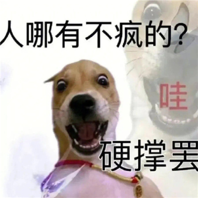 精神失常的搞怪好笑表情 人哪有不疯的硬撑罢了