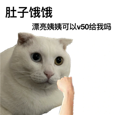 精神失常的搞怪好笑表情 人哪有不疯的硬撑罢了