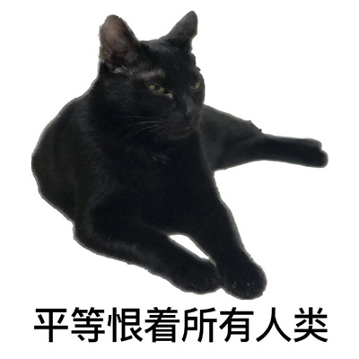 精神失常的搞怪好笑表情 人哪有不疯的硬撑罢了