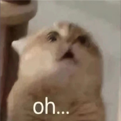 yyds的猫猫表情最新合集 日常反应迟钝