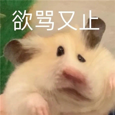 经典qq表情热门又好玩 比较热门的qq表情