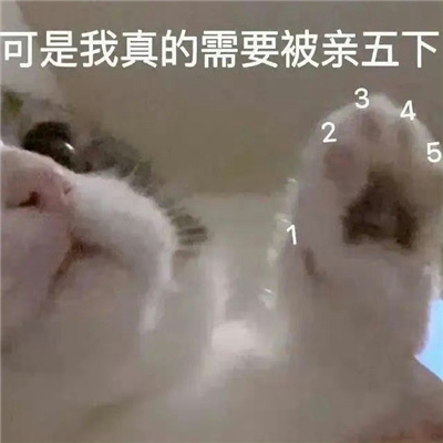 实用热门的表情吸引人耐用 全网最火爆的表情