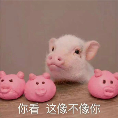 有趣的灵魂必备好用表情 社会上的事你少打听