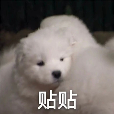 有趣的灵魂必备好用表情 社会上的事你少打听