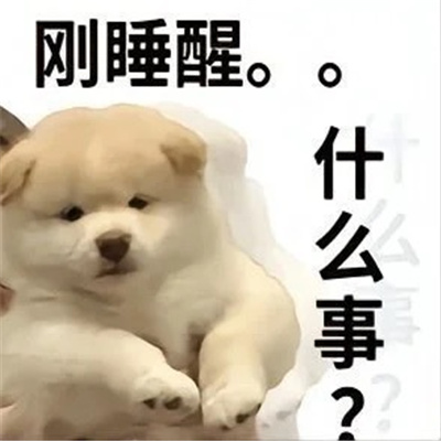 超好用的万能表情2023 宝你的搞怪表情又来啦