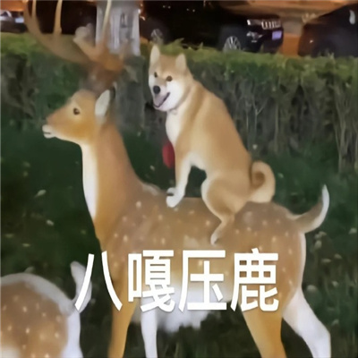 超好用的万能表情2023 宝你的搞怪表情又来啦