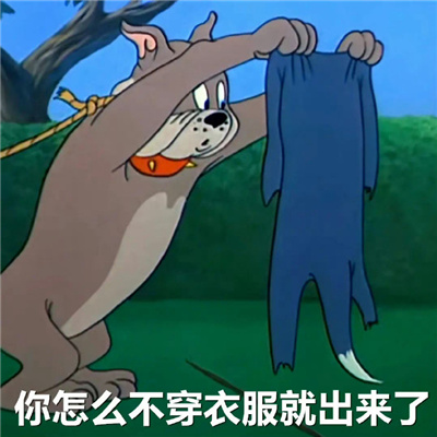 超级沙雕又超级好用的表情 你怎么不穿衣服就出来了