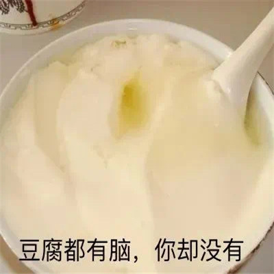 令人超心动的表情很火热 豆腐都有脑你却没有