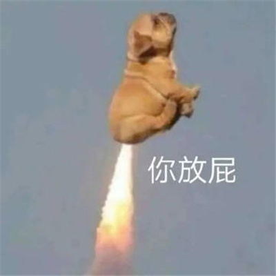 笑死人斗图的表情热门合集 跟好友拌嘴的表情最搞怪