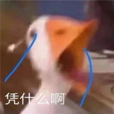 无水印沙雕表情最热门2023 再爱就不礼貌了