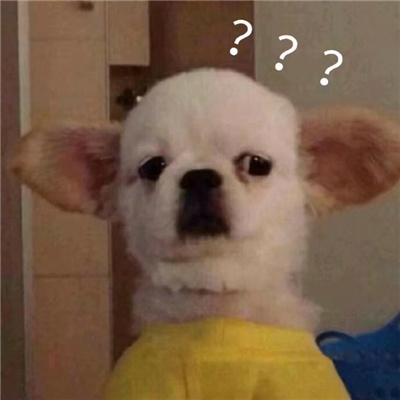 2023小动物问号表情日常好用合集 问号动物表情最新好用