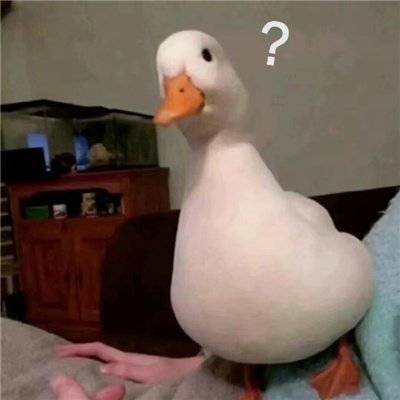 2023小动物问号表情日常好用合集 问号动物表情最新好用