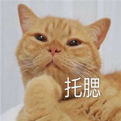 各种场合下都能用的表情 万能的快乐表情最新