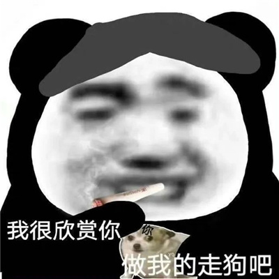 2023搞笑女必备表情包 我很欣赏你做我的走狗吧