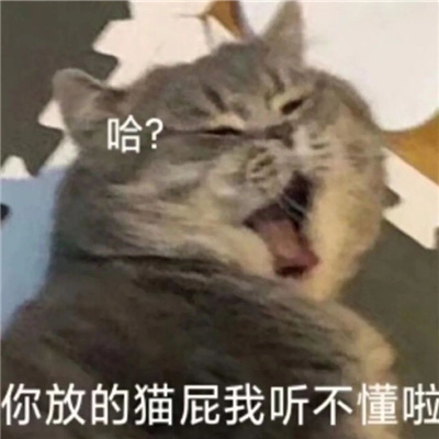 呆萌猫咪微信表情很火热 一定要存上的软萌猫咪表情