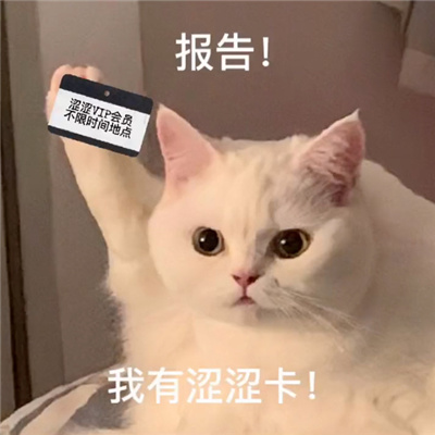 呆萌猫咪微信表情很火热 一定要存上的软萌猫咪表情