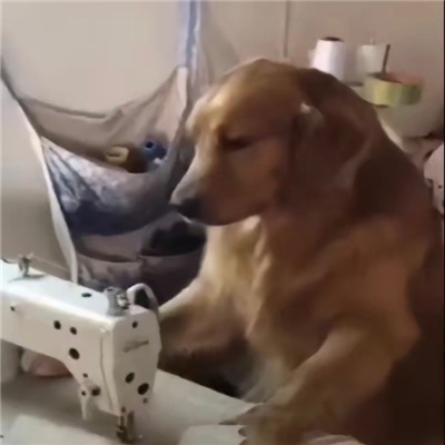 稀奇古怪搞笑无字表情快乐合集 2023无水印的好用无字表情合集