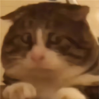 稀奇古怪搞笑无字表情快乐合集 2023无水印的好用无字表情合集