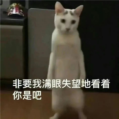 爱用的聊天表情很快乐 享受一把反正这辈子也是白忙活