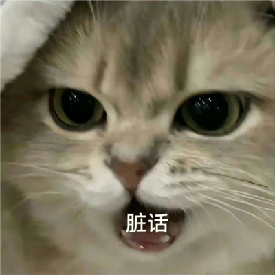 爱用的聊天表情很快乐 享受一把反正这辈子也是白忙活