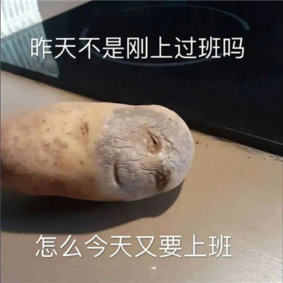 爱用的聊天表情很快乐 享受一把反正这辈子也是白忙活