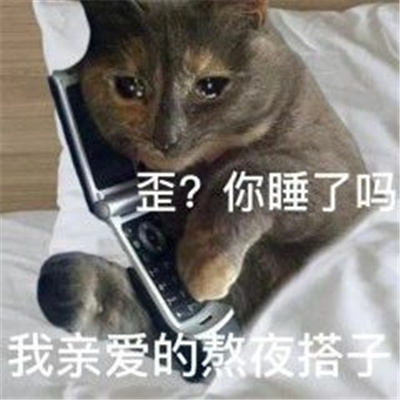 超级沙雕的好玩表情最新 要和我一起淋雨吗我亲爱的emo搭子