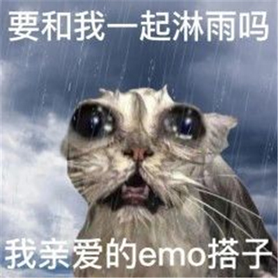 超级沙雕的好玩表情最新 要和我一起淋雨吗我亲爱的emo搭子