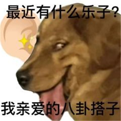 超级沙雕的好玩表情最新 要和我一起淋雨吗我亲爱的emo搭子