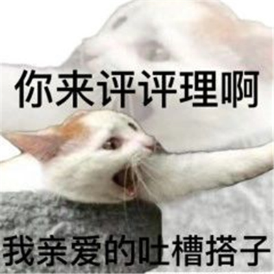 超级沙雕的好玩表情最新 要和我一起淋雨吗我亲爱的emo搭子