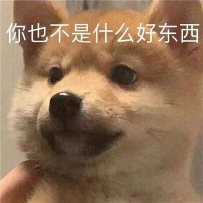 一天天的啥也不是表情包 啥也不是表情包