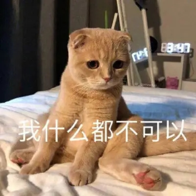 一天天的啥也不是表情包 啥也不是表情包