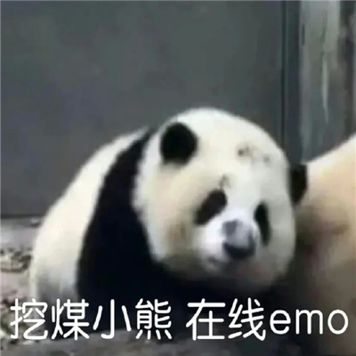 最新版超搞怪的欢乐表情 搞怪有趣微信表情又增加啦