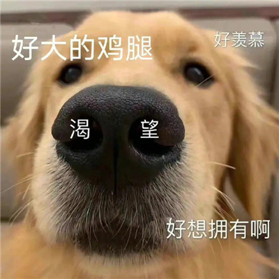 2023开心大笑的趣味表情合集 搞笑版的快乐表情合集