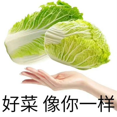 2023微信聊天表情合集 面壁思过